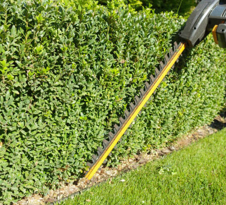 Gartenarbeiten im Herbst