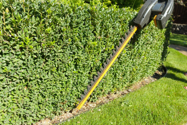 Gartenarbeiten im Herbst