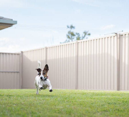 Grundstück einzäunen